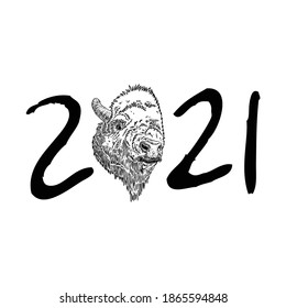 Year of the ox, Chinese New Year 2021. Bull with the handwritten number sign. Lunar new year symbol and horoscope sign for card. Hand drawing vector.