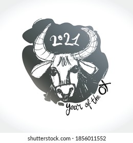 Year of the Ox in Chinese zodiac. Bull head sketch. Vector element for New Year's design in flat style. Illustration of 2021 year of the Ox.