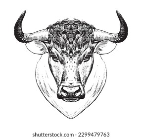 Year of the Ox, taurus zodiac sign, muzzle of a bull, farm animal. Isolated Vector illustration, line logo, tattoo engraving stylization, spanish bullfight logo.