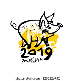 Year of the Pig 2019 hand drawn illustration with pig and handwritten 2019. Vector template New Year's design on the Chinese calendar. 
