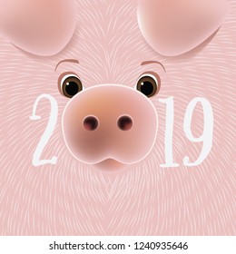 Year of the Pig Chinese New Year design with cute furry pig. EPS10 vector illustration.