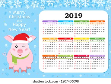 Year of the pig. Cute pig and calendar 2019. Week starts from Sunday. Vector illustration.