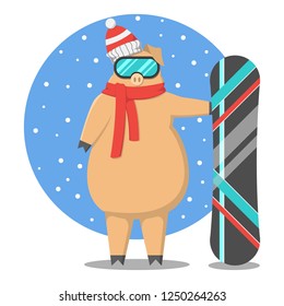 Year of the pig. Rest in the mountains, snowboard, pig on holidays, riding on a snowboard in protective glasses
