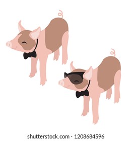 The year of the pig vector illustration