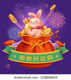 Year of the rabbit new year illustration. Cute bunny with gold carrot in fortune bag on purple background and firework in the back. Text:Good luck in the new year ahead.