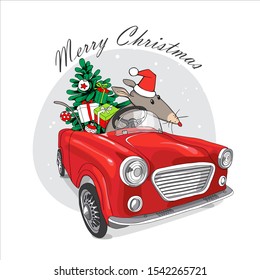 Year of the rat lunar calendar. Funny rat with fir-tree and gifts rides in a red car. Merry Christmas and New Year card, hand drawn style print. Vector illustration.