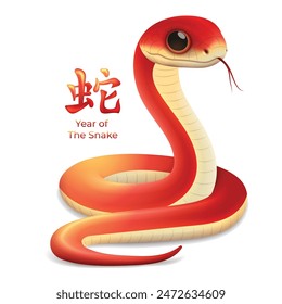 Year of The Snake 2025 Zodiac sign, Chinese new year 2025 snake 3d vector illustration