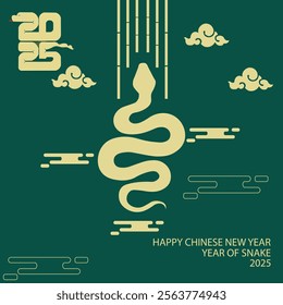 YEAR OF SNAKE, CHINESE NEW YEAR 2025 VECTOR DESIGN