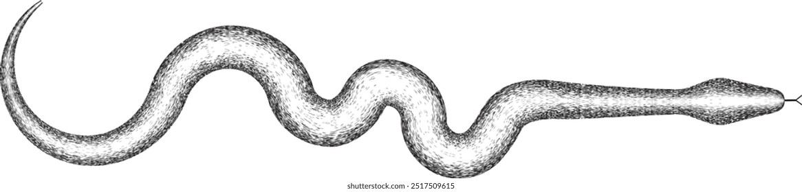 Year of the snake . Grainy, transparent Snake logo for Chinese new year 2025.  Zodiac snake symbol .design elements . World snake day icon . Vector