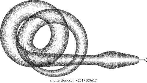 Year of the snake . Grainy, transparent Snake logo for Chinese new year 2025.  Zodiac snake symbol .design elements . World snake day icon . Vector