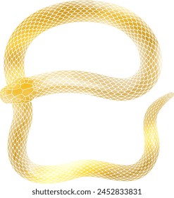 Year of the Snake New Year's card material_Golden snake illustration
