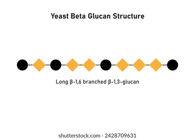 Estructura de la molécula de glucano beta de levadura Diseño científico. Ilustración vectorial.	