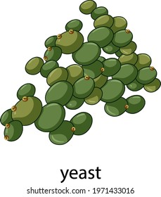 Yeast Cartoon Style With Name Illustration