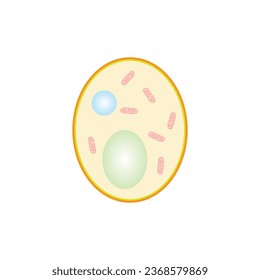 Yeast Cell Structure Concept Design. Vector Illustration.	