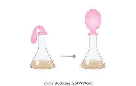 Experimento de Respiración de Levaduras. La levadura se alimenta del azúcar, produce dióxido de carbono, el gas lentamente llena el globo. Ilustración vectorial.