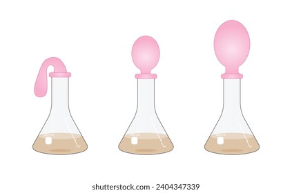 Experimento de Respiración de Levaduras. La levadura se alimenta del azúcar, produce dióxido de carbono, el gas lentamente llena el globo. Ilustración vectorial.