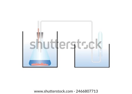 Yeast Respiration Experiment Scientific Design. Vector Illustration.