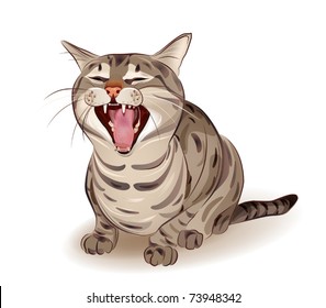 Yelling tabby cat