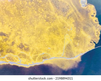 Yellow Abstract Pattern. Abstract Nature Paint. Hot Gradient Ink Background. Alcohol Ink Illustration Vector. Fluid Galaxy Watercolor. Acrylic Ink Space. Swirl Acrylic Splash. Yellow Abstract Painting