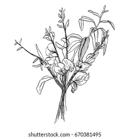 Yellow acacia graphics. The image can be used for your business in the field of weddings, floristics. And also the image is ideal for printing on postcards, textiles, prints of clothes.