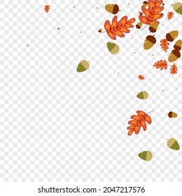 Vector transparente de fondo de maíz amarillo. Marco de borde de flotación. Hoja Roja. Conjunto de esquema. Material de hojas verdes.