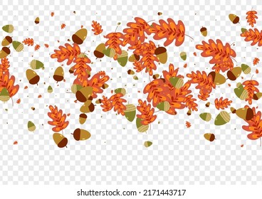 Yellow Acorn Background Transparent Vector. Foliage School Design. Green Leaf. Abstract Texture. Orange Oak Decoration.
