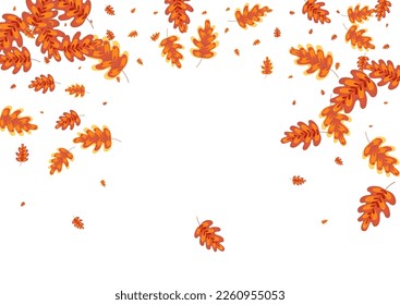 Yellow Acorn Background White Vector. Oak Vibrant Illustration. Red Leaf. October Texture. Green Plant Backdrop.