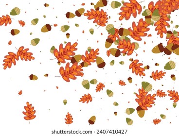 Yellow Acorn Background White Vector. Leaves Image Frame. Brown Oak. Art Design. Green Foliage Label.