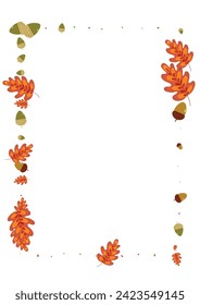 Yellow Acorn Background White Vector. Plant Material Texture. Gold Oak. Sale Frame. Red Leaves Pattern.