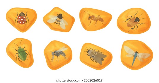 Piedra de ámbar amarillo con insectos resina petrea para el diseño de la piedra preciosa mineral burbuja Vector plana ilustración. Joyería fluida de la gema naranja con insecto mariquita libélula abeja mosquito escarabajo polilla