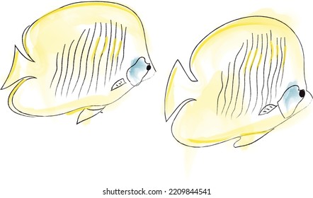 Yellow Angel Fish Vector Watercolor. Cute Pair Swimming Together