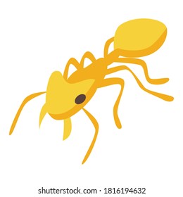 Yellow ant icon. Isometric of yellow ant vector icon for web design isolated on white background
