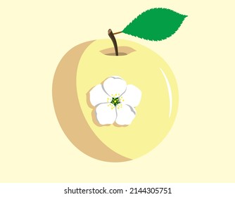 Yellow apple with blossoms on it. Ripe fruit with leaf and white flower isolated on light yellow background.