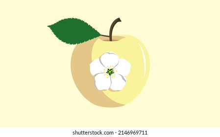 Yellow apple with blossoms on it. Ripe fruit with leaf and white flower isolated on yellow background.