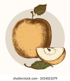 Yellow Apple Hand Doodle Illustration Vector Isolated