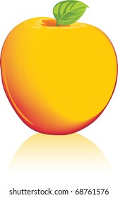 Yellow apple isolated on the white. Vector