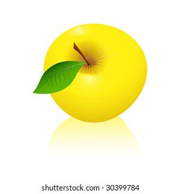 Yellow apple with leaves. Vector illustration.
