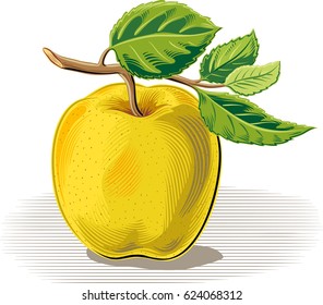yellow apple, white background.