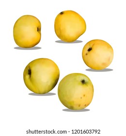 Yellow apples isolated on white background. Vector Illustration.