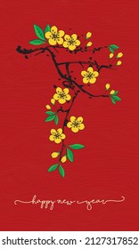 yellow apricot flower in red background, traditional flower of tet eve in southern vietnam