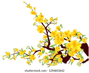 Yellow Apricot Flower Images, Stock Photos & Vectors | Shutterstock