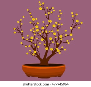 Yellow Apricot Flower, traditional lunar new year in Vietnam