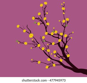 Yellow Apricot Flower, traditional lunar new year in Vietnam