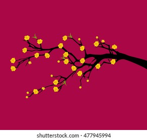 Yellow Apricot Flower, traditional lunar new year in Vietnam