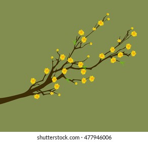 Yellow Apricot Flower, traditional lunar new year in Vietnam