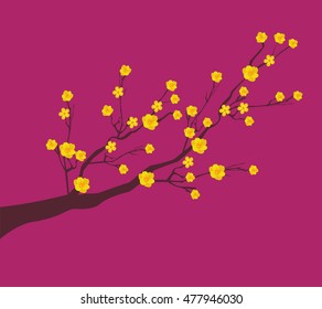 Yellow Apricot Flower, traditional lunar new year in Vietnam