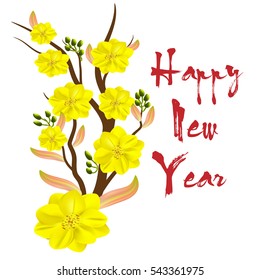 Yellow Apricot Flower, traditional lunar new year in Vietnam - a flower that grows in southern Vietnam, bloom in Lunar New Year.