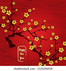 Yellow apricot flower, which is called "Hoa Mai" in Vietnamese in red background, Happy lunar new year.