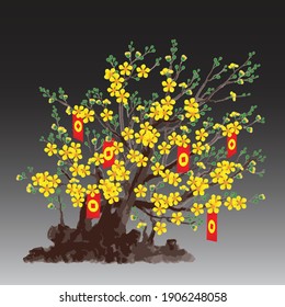 Yellow Apricot (Ochna integerrima) blooming flowers bonsai with hanging lucky envelops