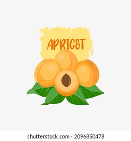 Yellow apricots on green apricot leaves with arpicot text on brush stroke background. Apricot banner concept. Apricot cover, leaflet, packaging, juice label, postcard, product, sale design